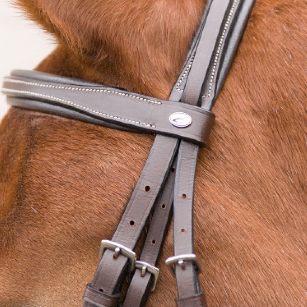 lamicell-flash-noseband-bridle-barry-emmers-equestrian